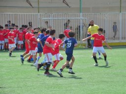 MIS Sports